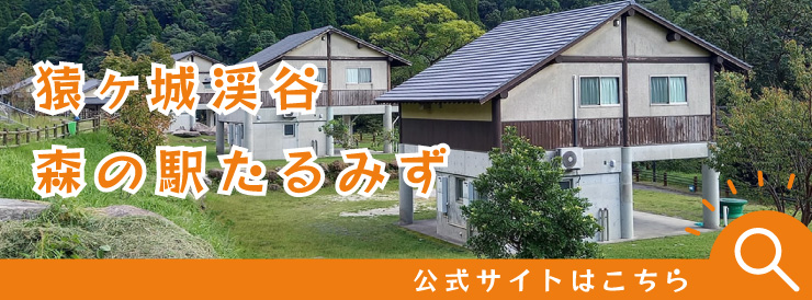 猿ヶ城渓谷・森の駅たるみず 公式サイトはこちら